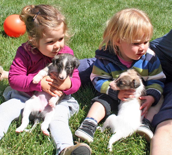 Pups 5 and 2 with children